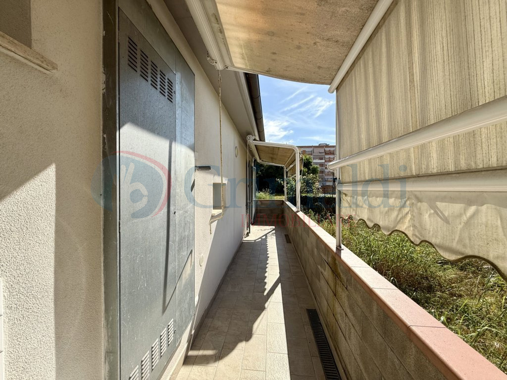 IMG_1909 (FILEminimizer).jpeg