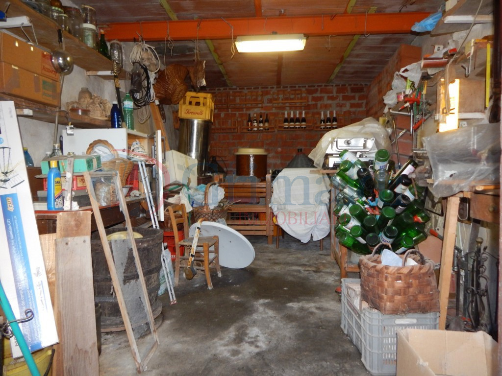 DSCN5538 (FILEminimizer).JPG