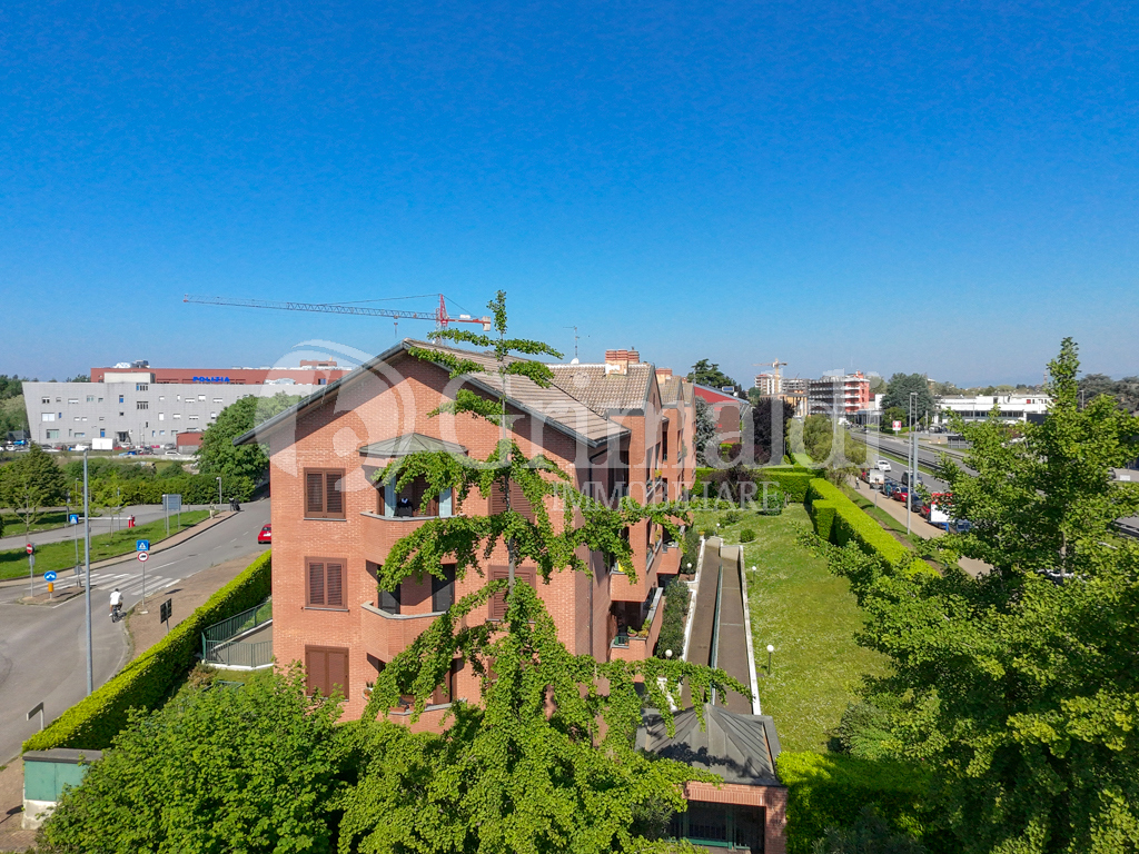 dji_fly_20250502_105714_0099_1746180149379_photo.jpg