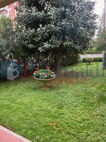image1.jpeg