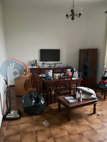 image13.jpeg