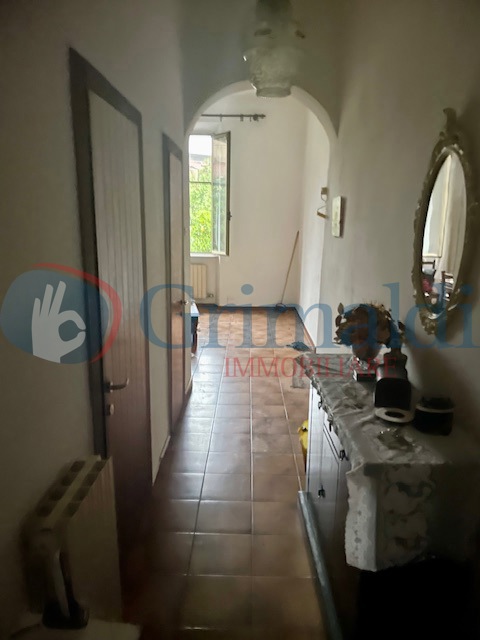 image2.jpeg