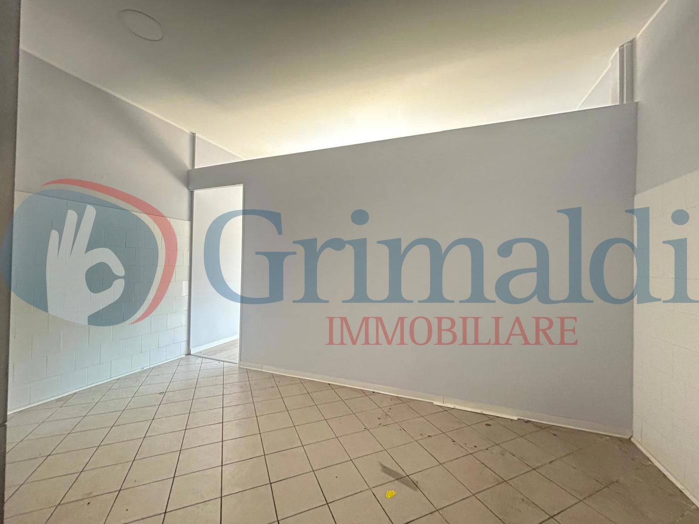Immagine WhatsApp 2025-05-02 ore 19.48.32_80492483.jpg
