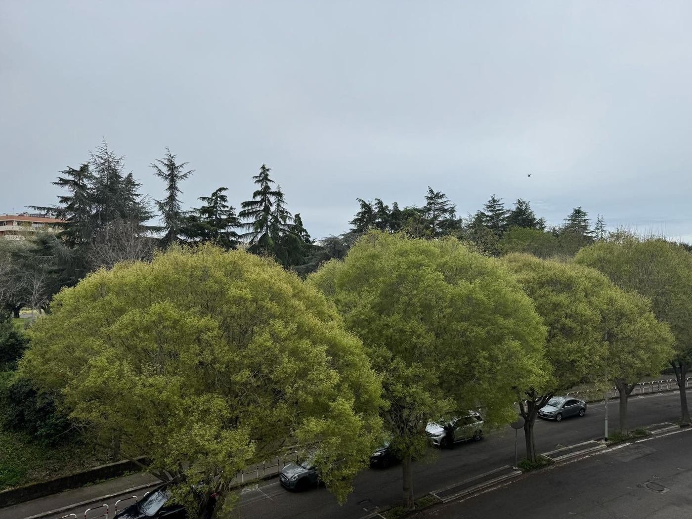VISTA TERRAZZO