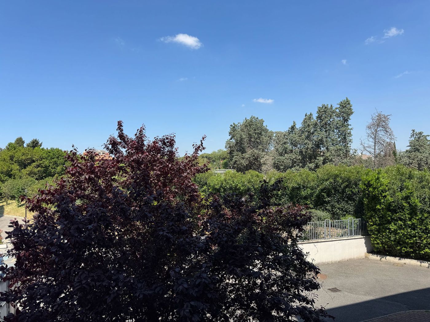 VISTA TERRAZZO