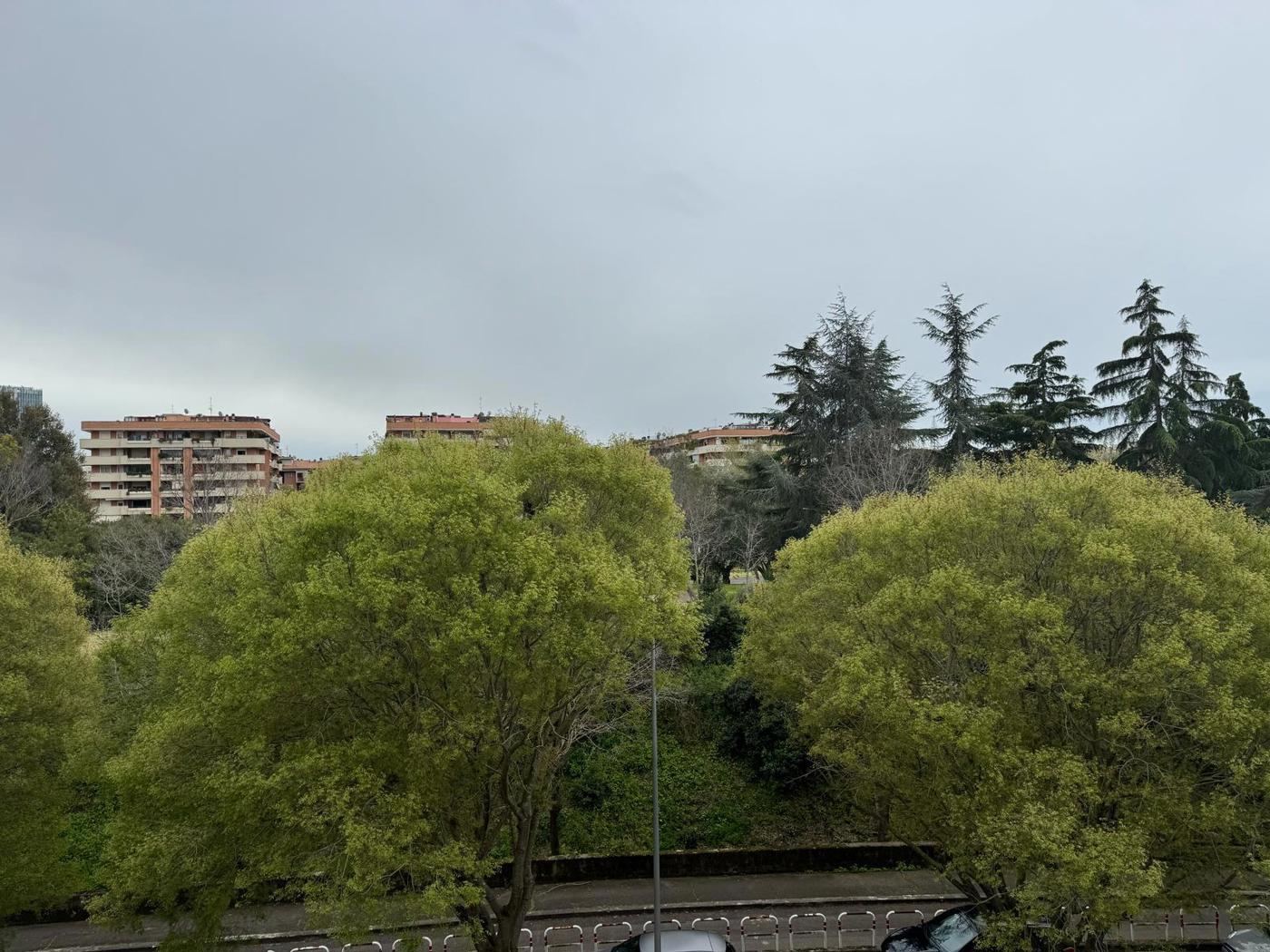 VISTA TERRAZZO