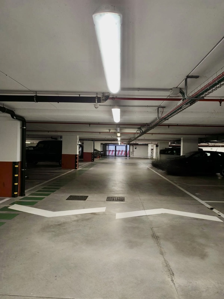 INGRESSO GARAGE