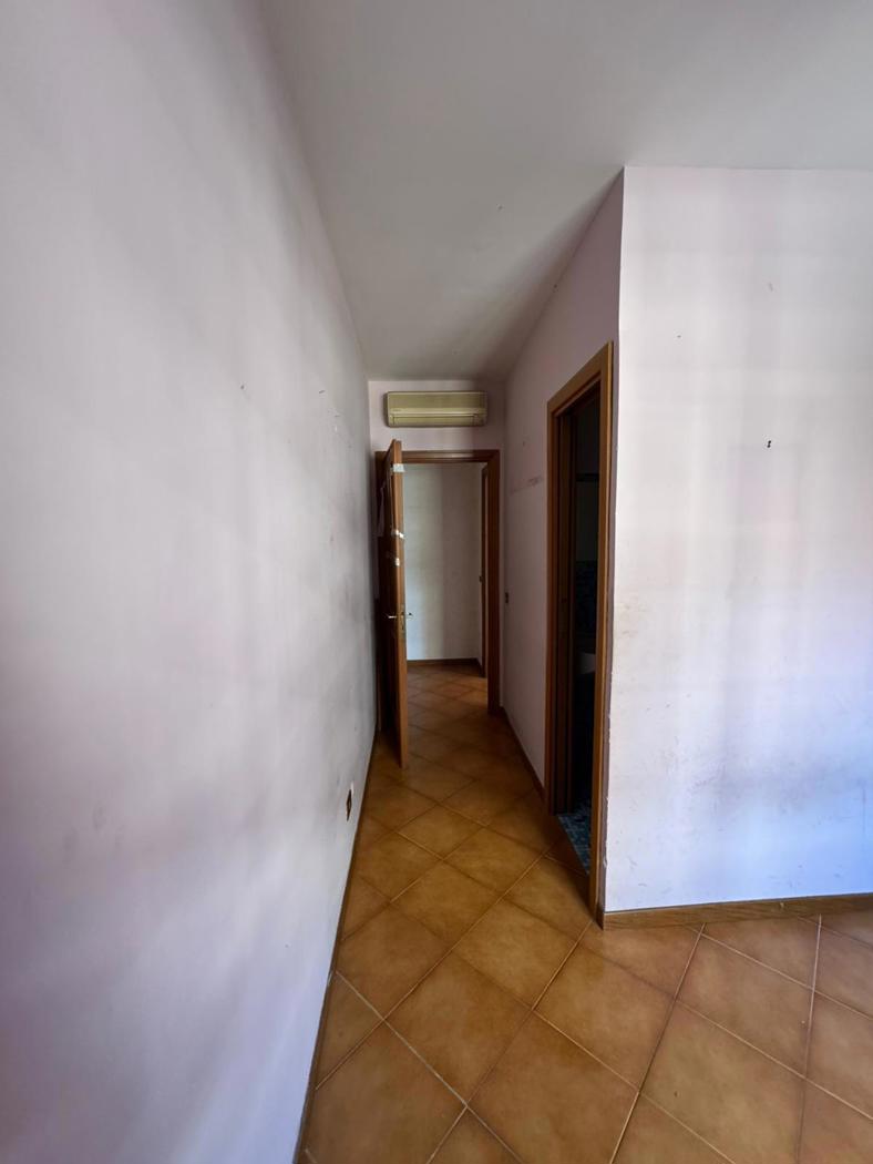 INGRESSO