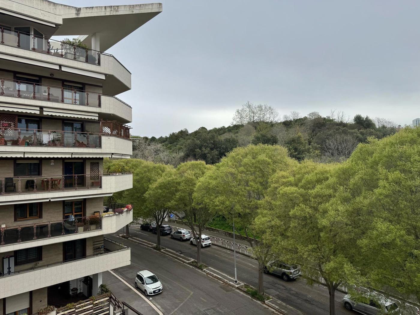 VISTA TERRAZZO