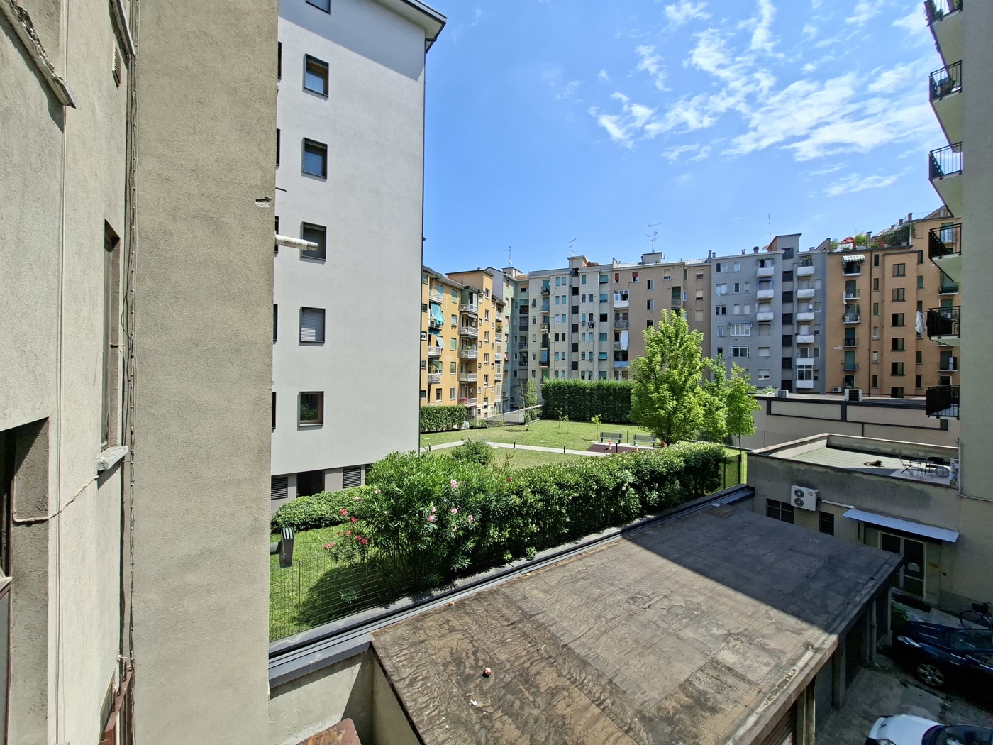 20250714_124247.jpg