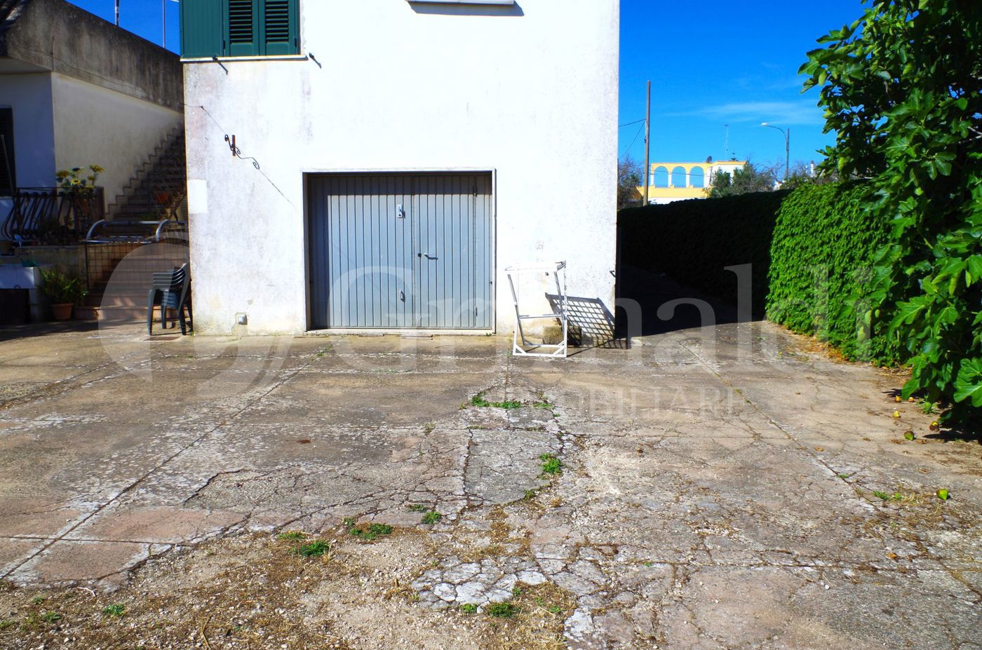 IMGP2476_risultato.jpg