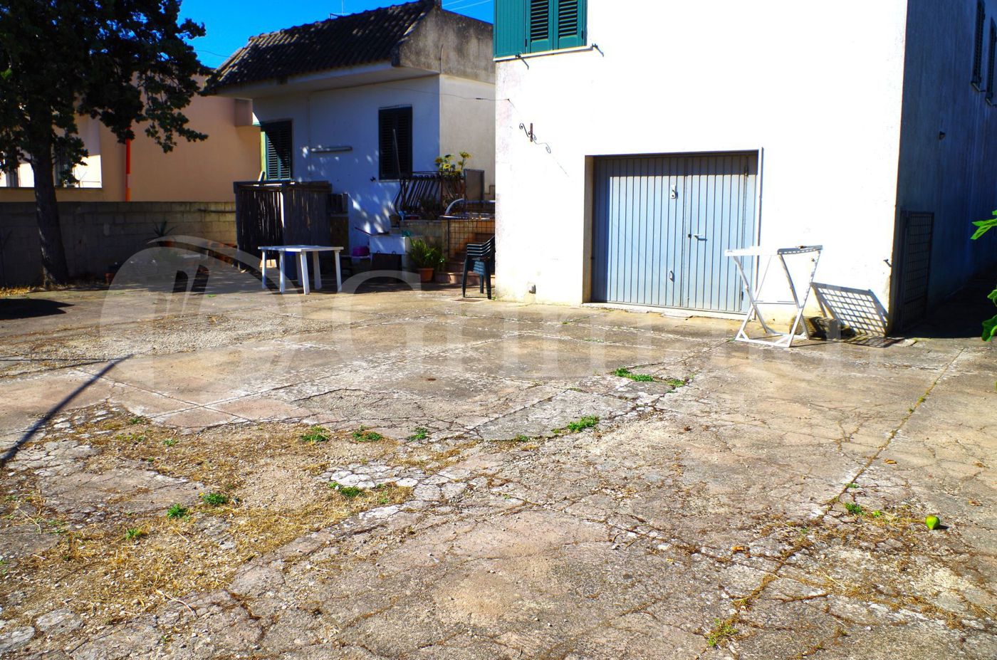 IMGP2479_risultato.jpg