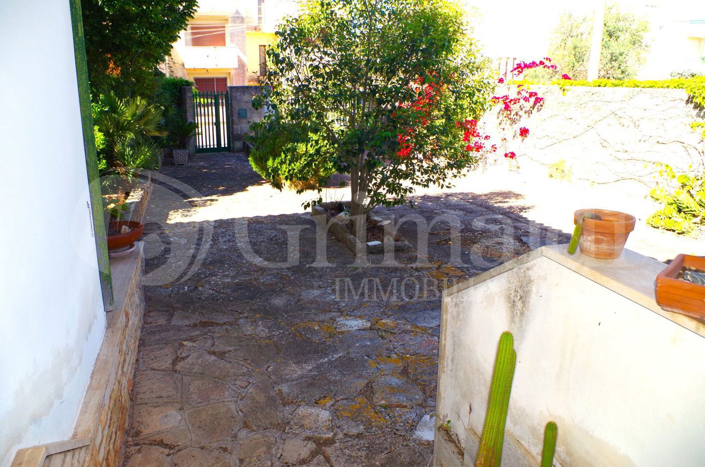 IMGP2568_risultato.jpg