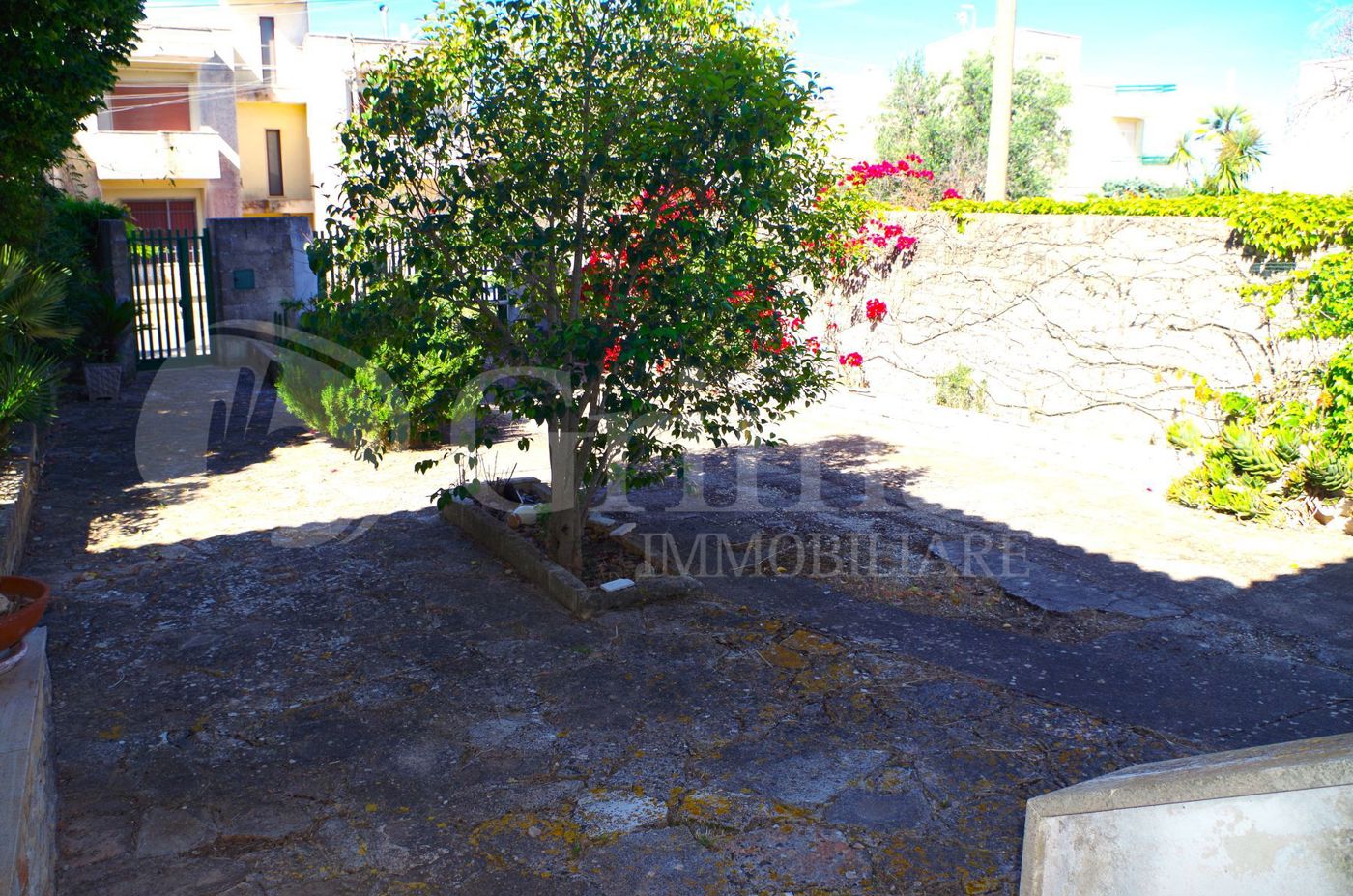 IMGP2569_risultato.jpg