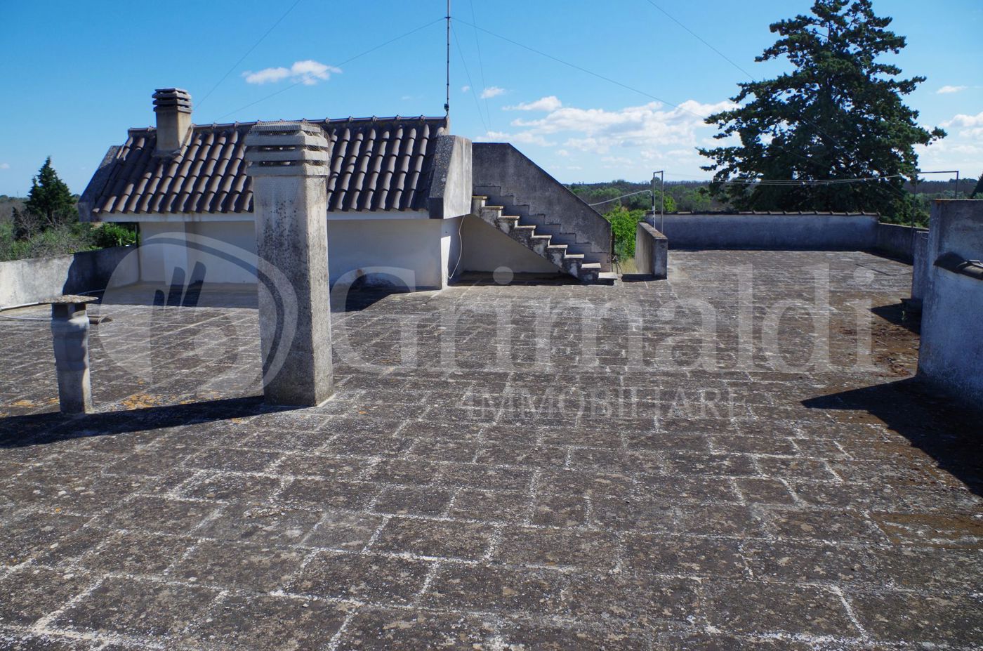 IMGP2583_risultato.jpg