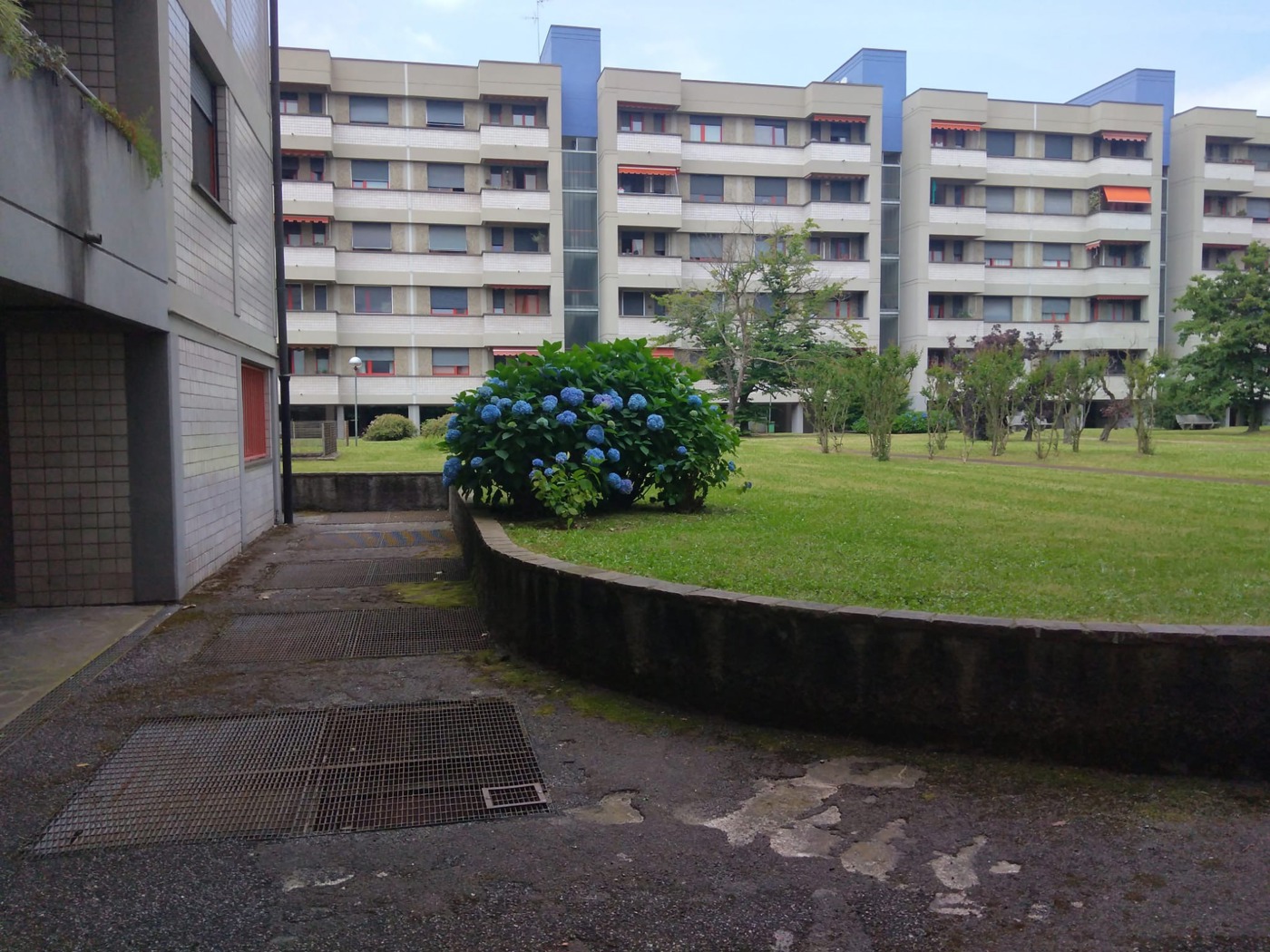 p31.jpeg