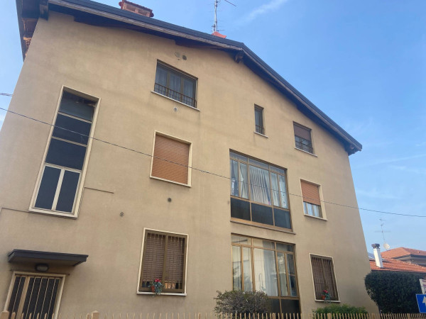 quercia 2.jpg