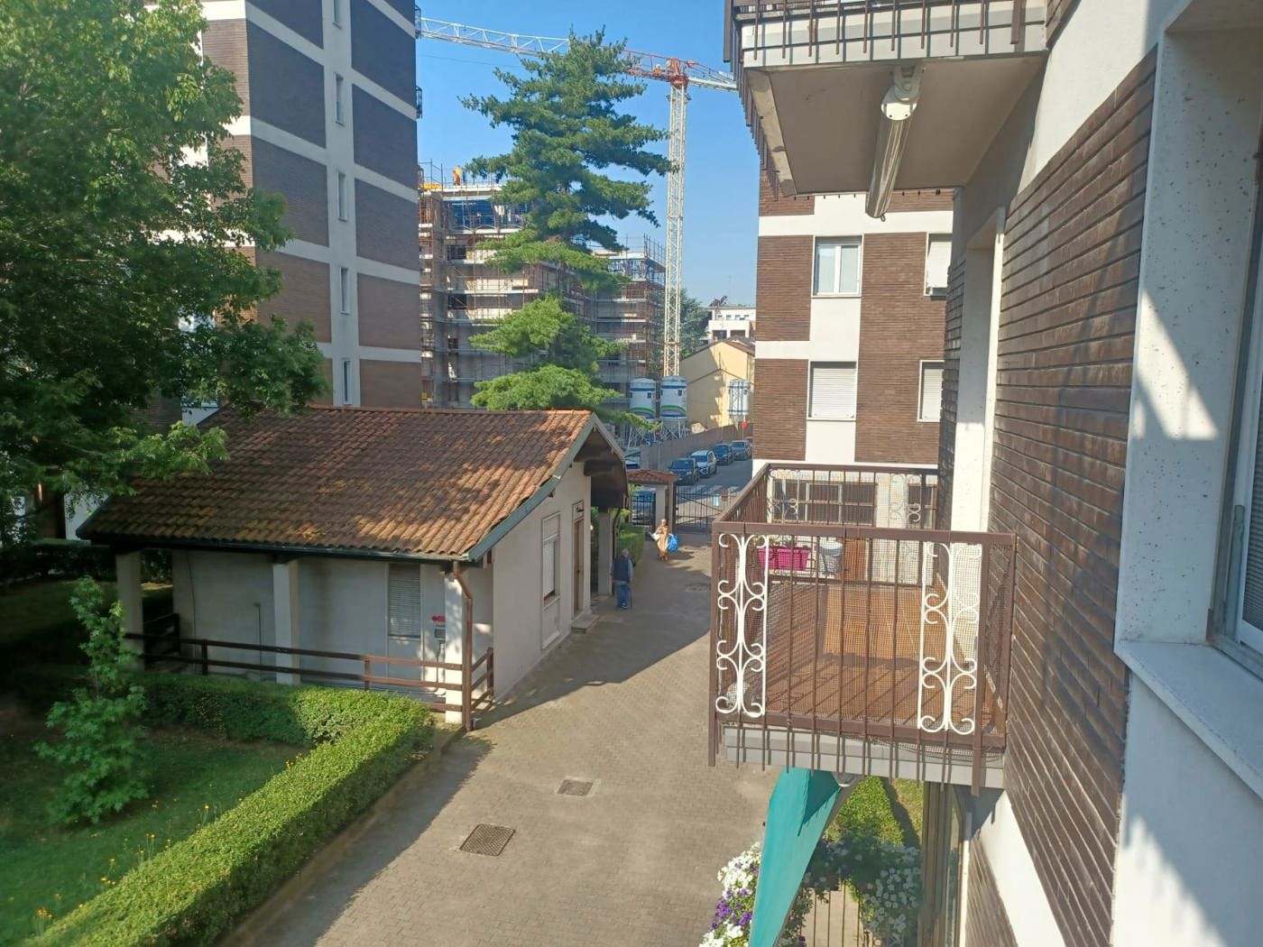 isinzo 2.jpg