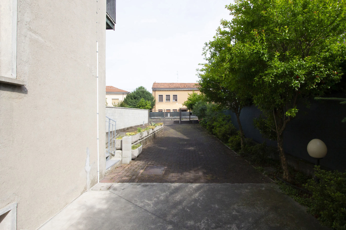 _MG_1296.jpg