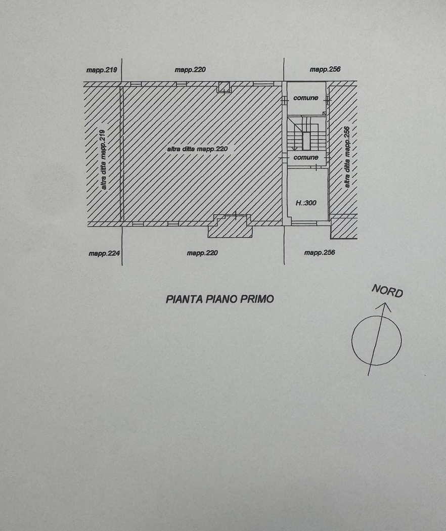 plan via pascoli 2.jpg