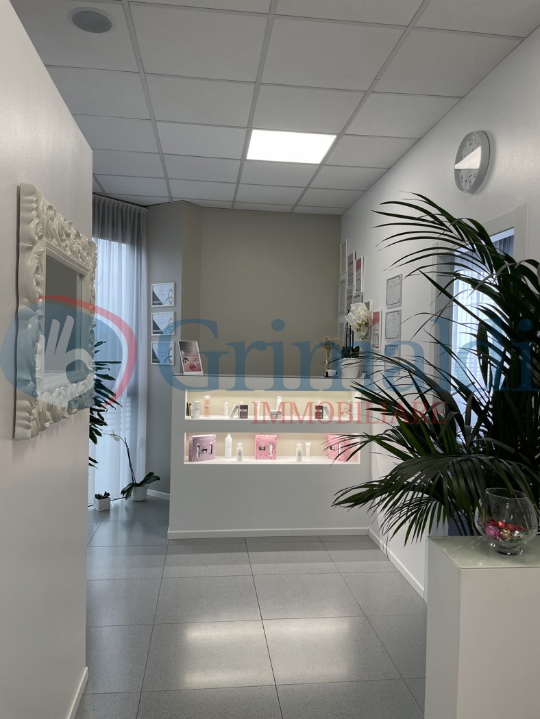 estetica.jpeg