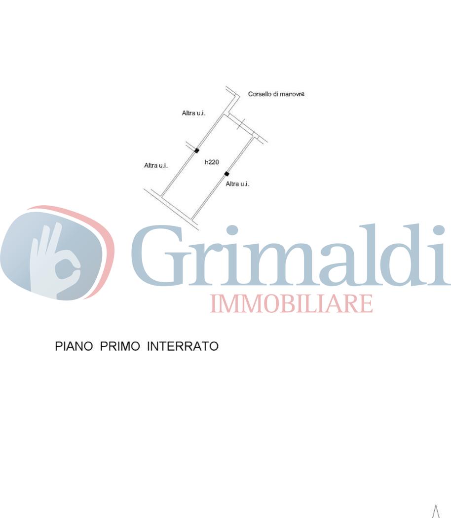 Immagine WhatsApp 2025-05-12 ore 13.05.35_8b5c97a0.jpg