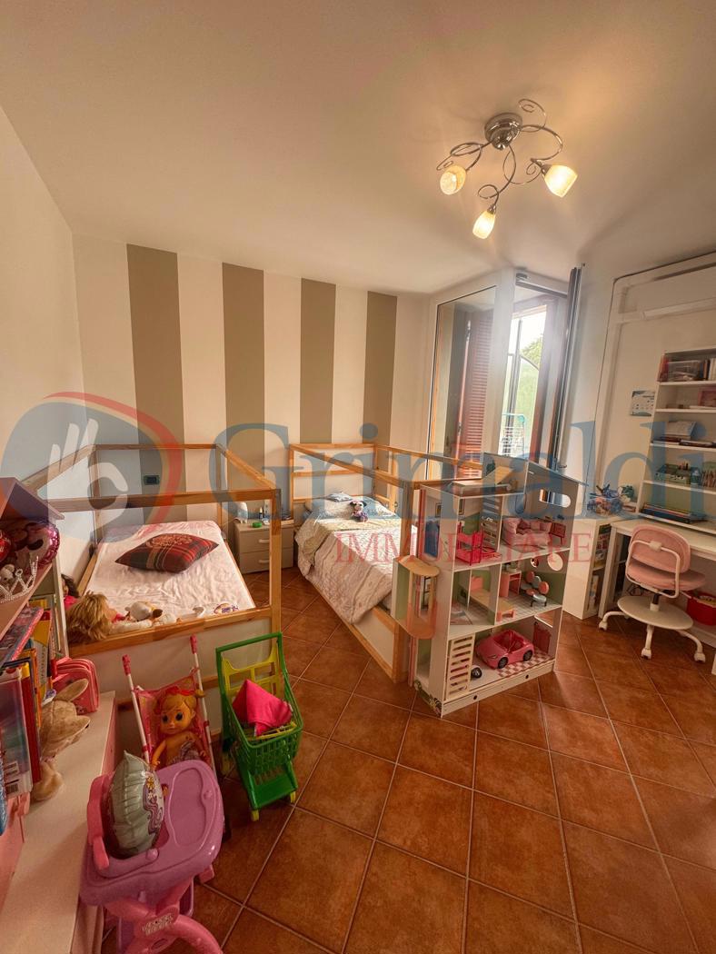 Immagine WhatsApp 2025-06-06 ore 15.47.00_ead7dfa4.jpg