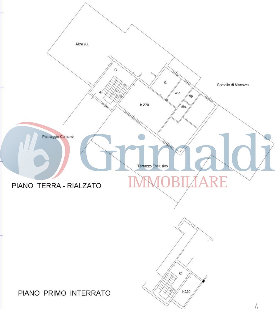 Immagine WhatsApp 2025-05-12 ore 13.05.24_9fb87e9a.jpg