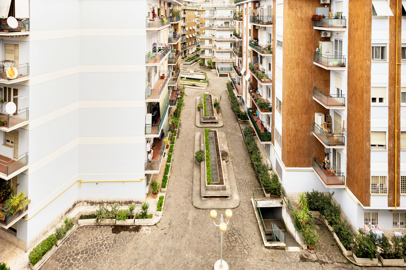 _MG_2530 copia.jpg