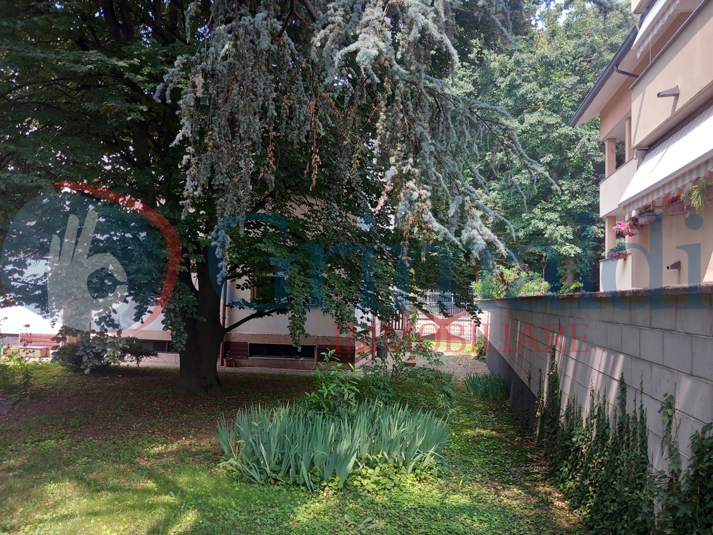 20250612_105036.jpg