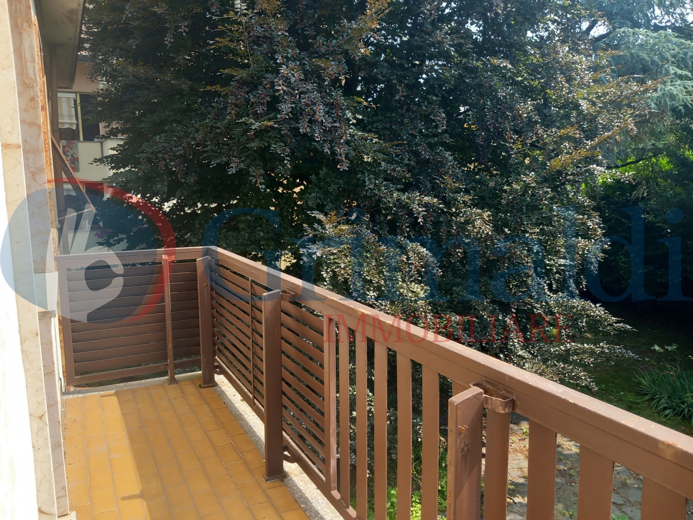 20250612_105828.jpg