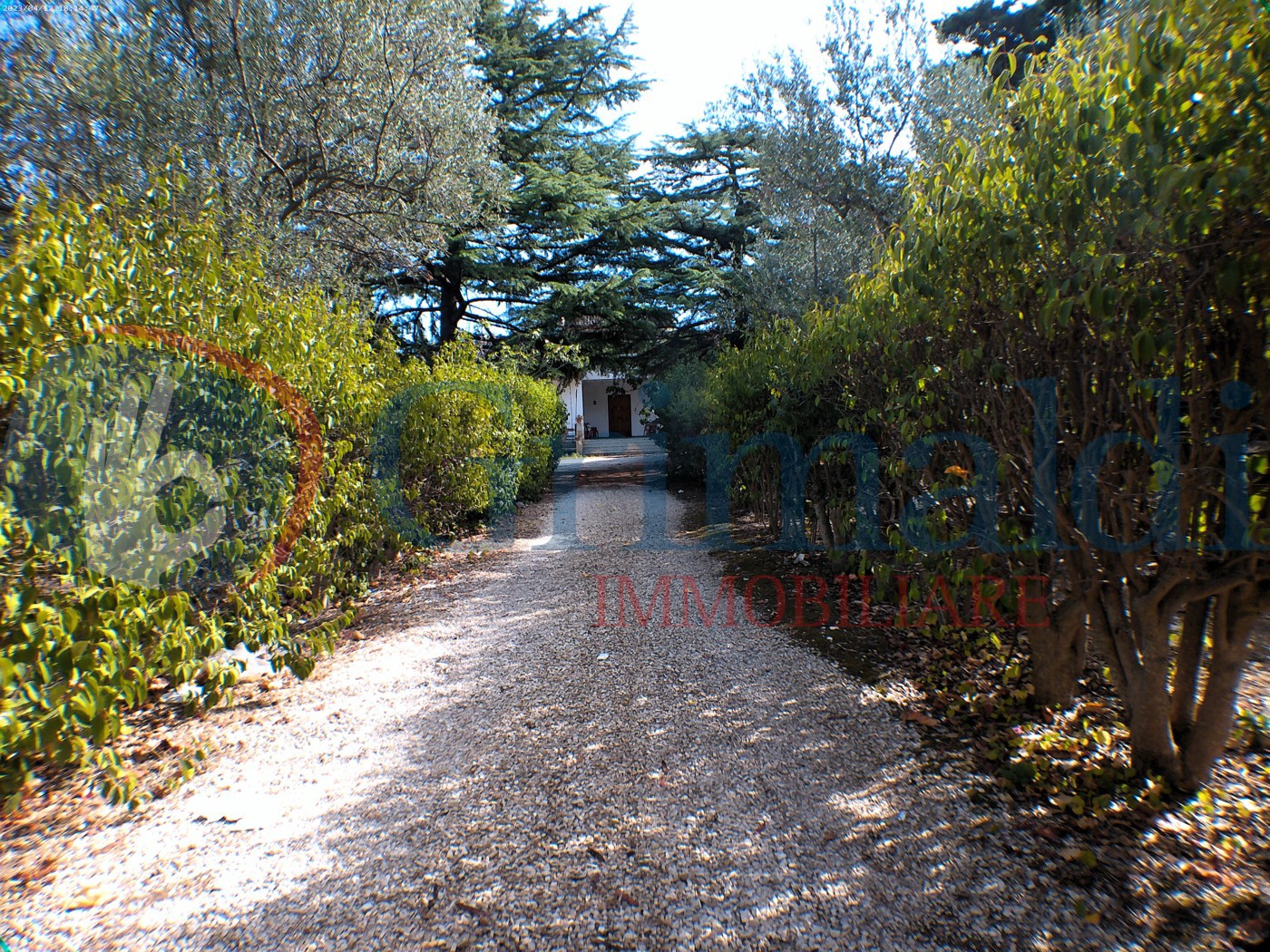 ANMP0067.jpg