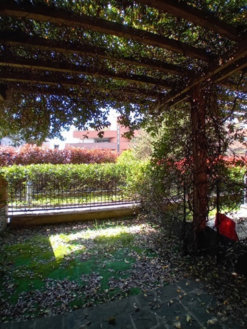 20250408_141813.jpg