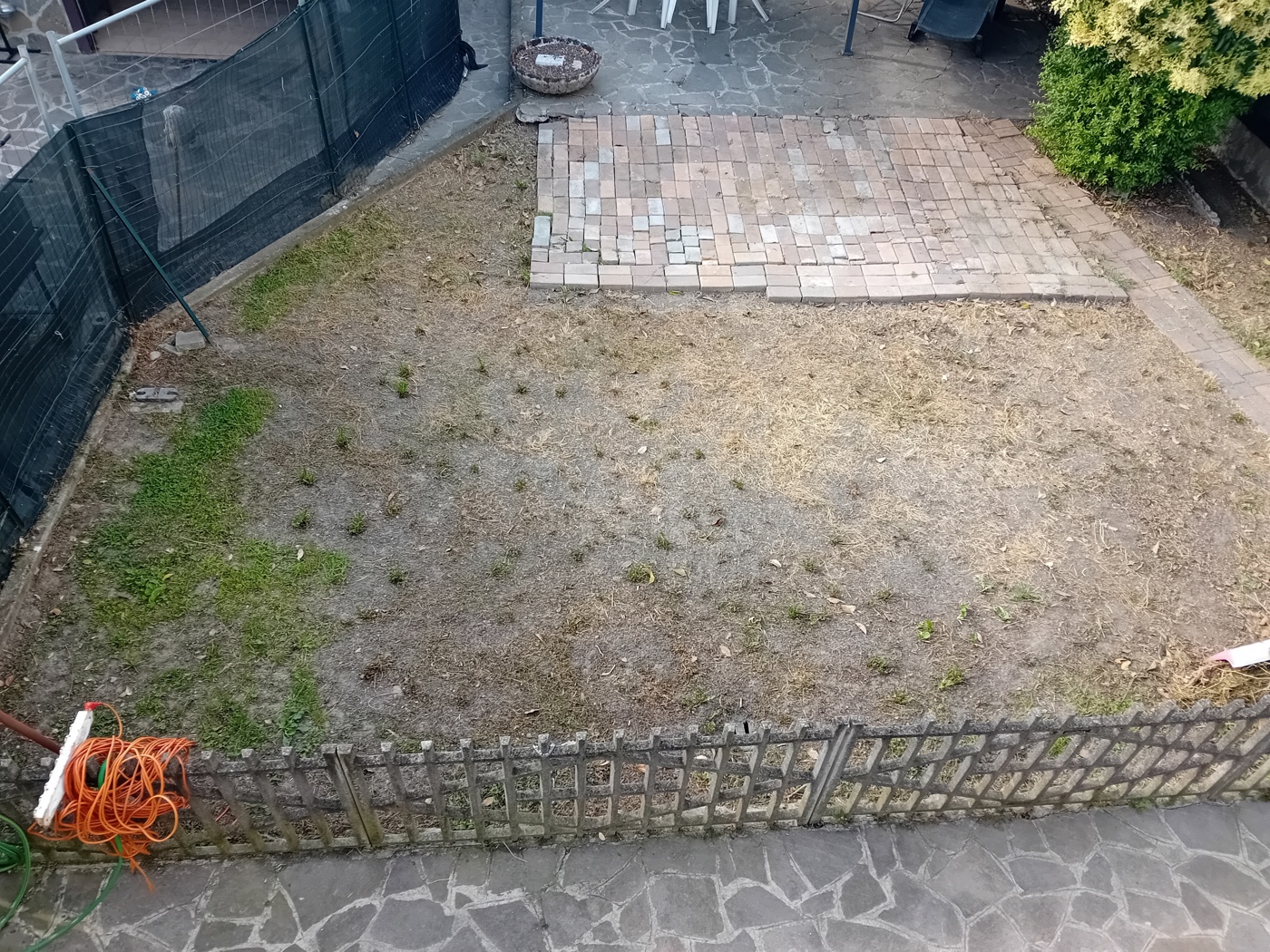 20250617_181902.jpg