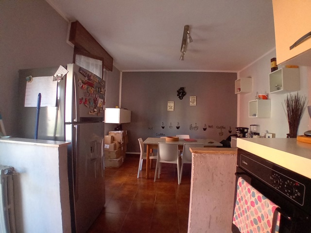 20250508_173103.jpg