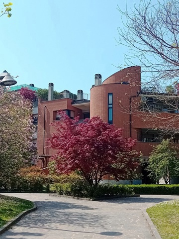 20250408_140302.jpg