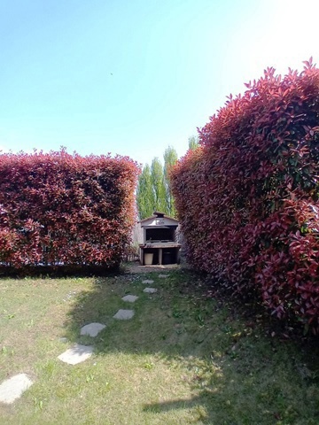 20250408_141605.jpg