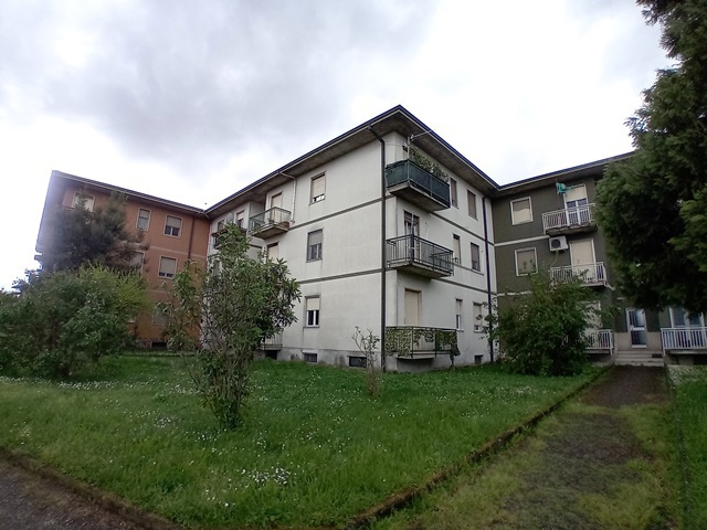 20250417_153808.jpg