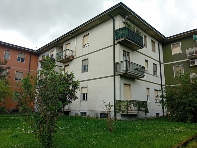 20250417_153811.jpg