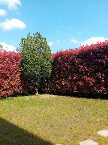 20250408_141618.jpg