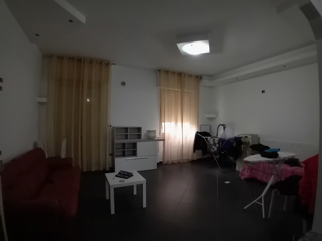 20250417_152911.jpg