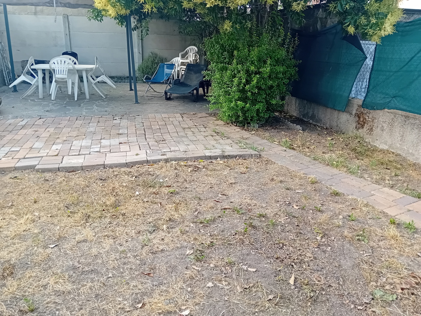 20250617_181735.jpg