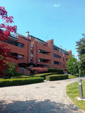 20250408_140325.jpg