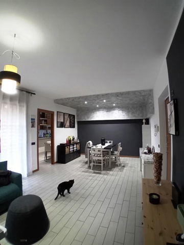 20250408_141018.jpg