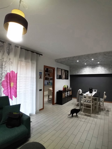 20250408_141028.jpg