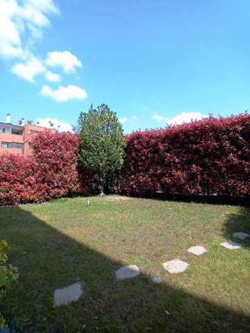 20250408_141616.jpg