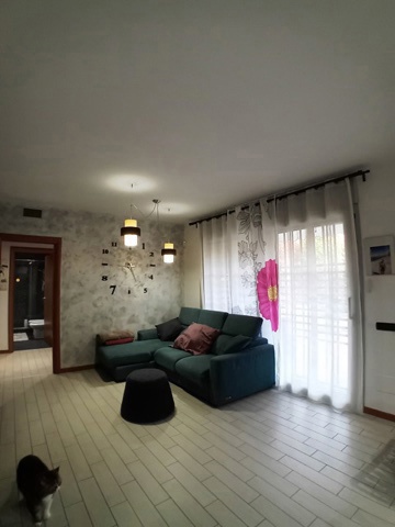 20250408_141117.jpg