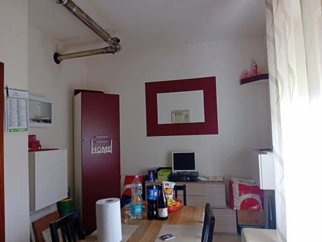 20250417_153035.jpg