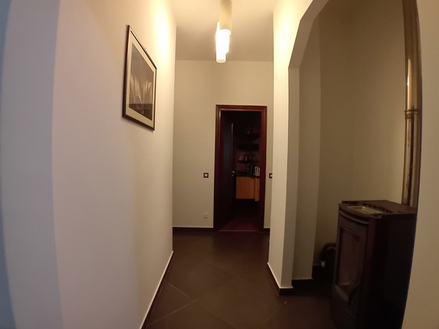 20250417_153101.jpg