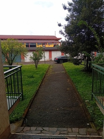 20250417_153651.jpg